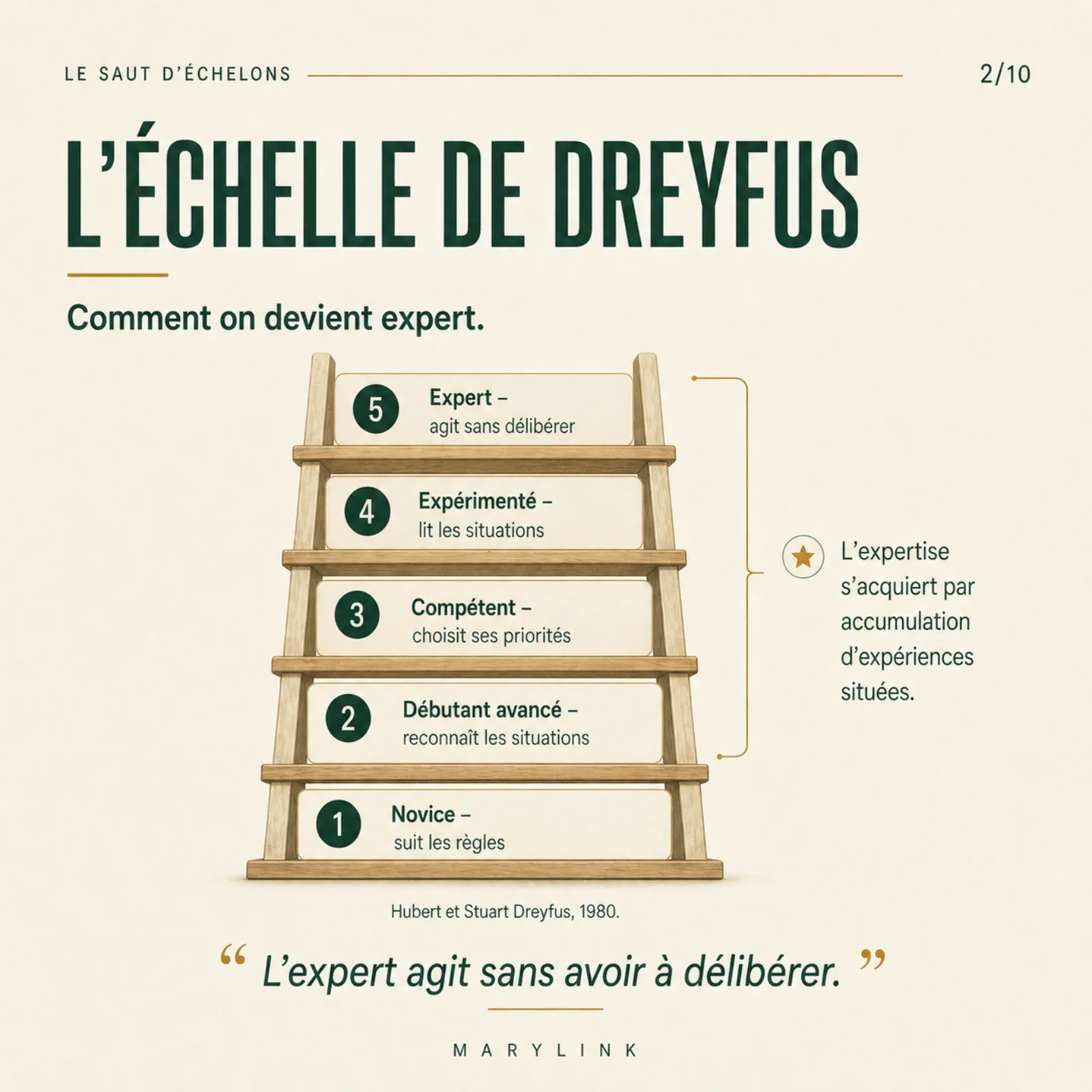 Échelle en bois à cinq barreaux numérotés de Novice à Expert, avec une accolade latérale et une étoile.