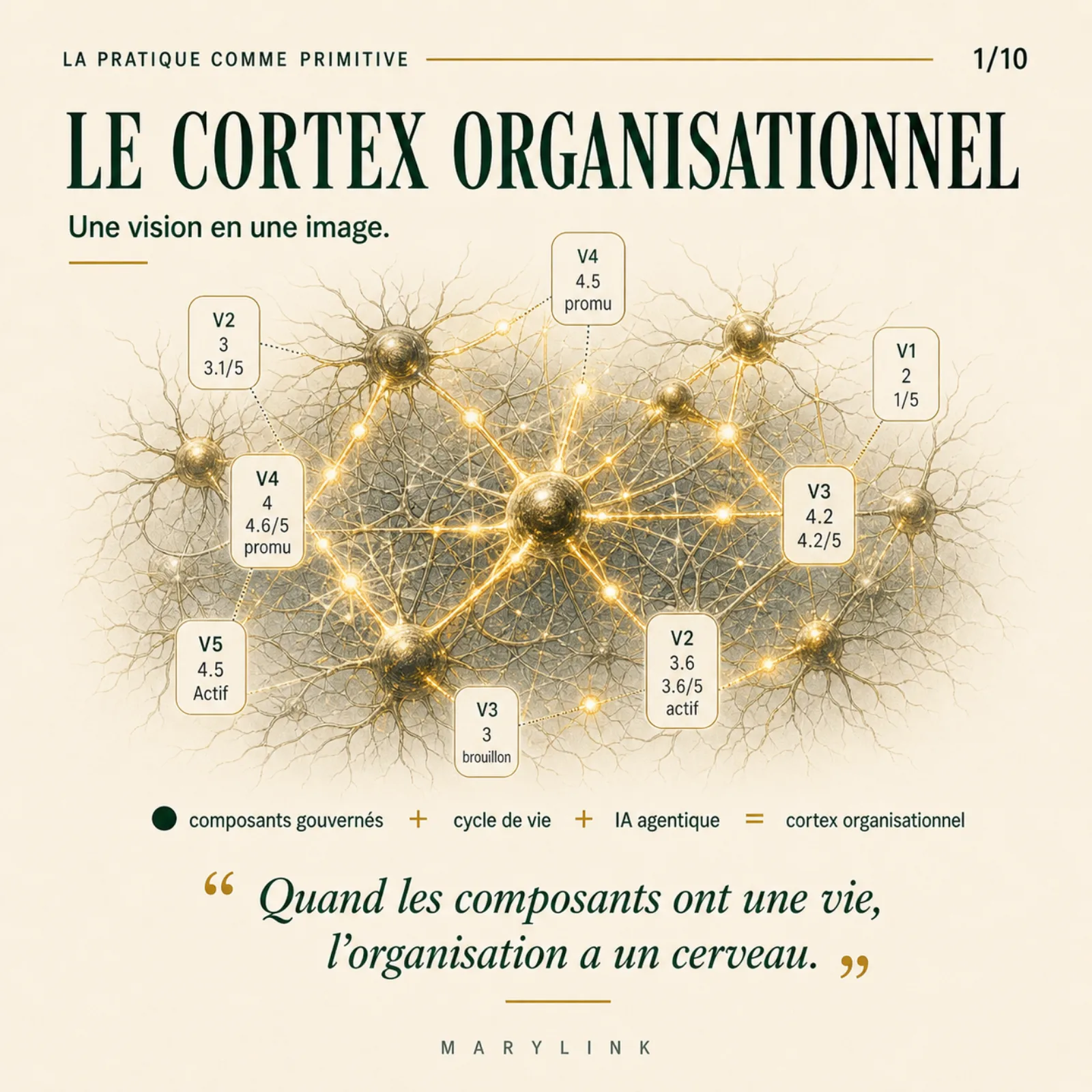Le cortex organisationnel : des pratiques gouvernées reliées en réseau, comme des neurones, forment le cerveau d'une organisation.