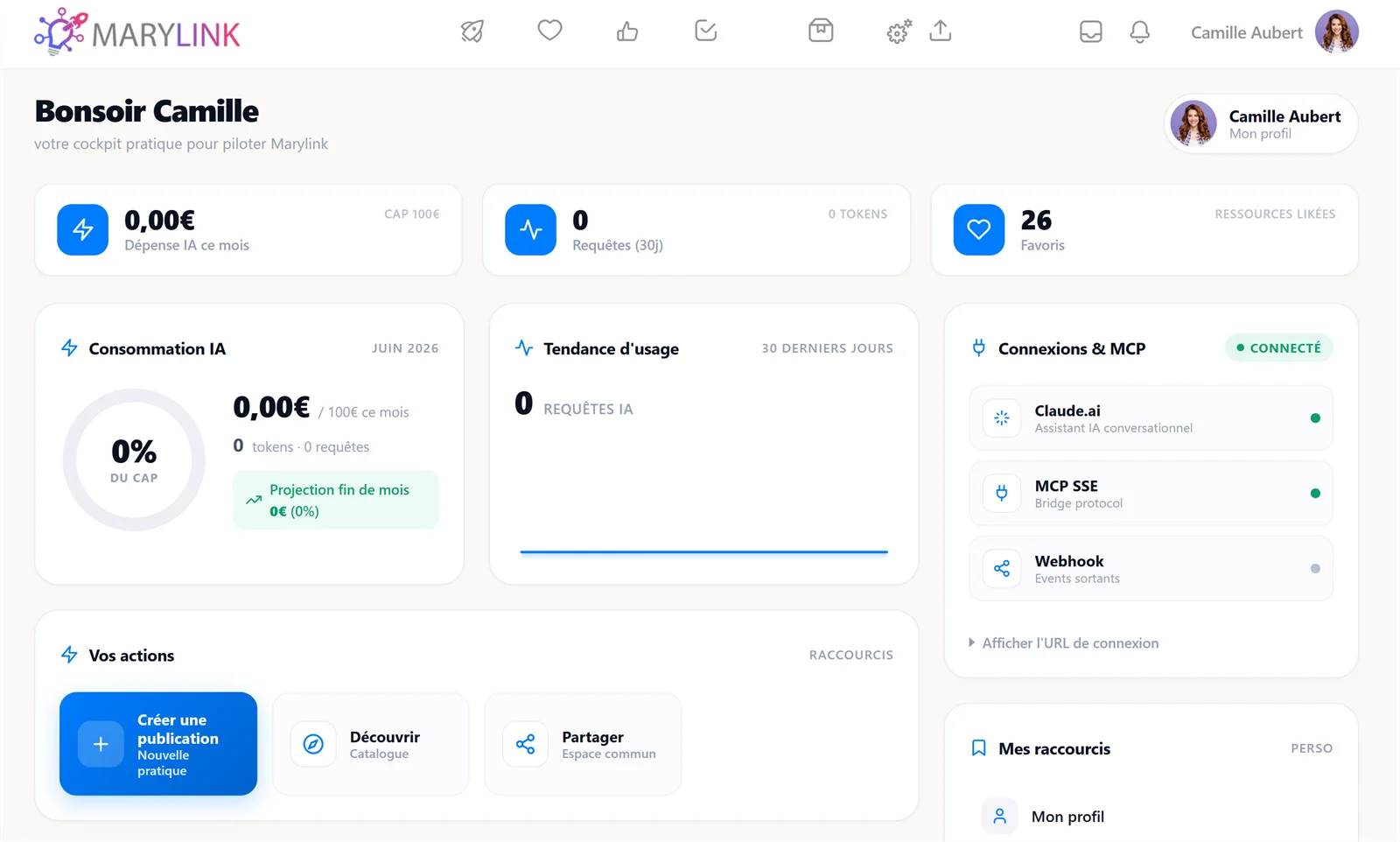 Le tableau de bord du pilote : usage de l'IA et agents IA connectés