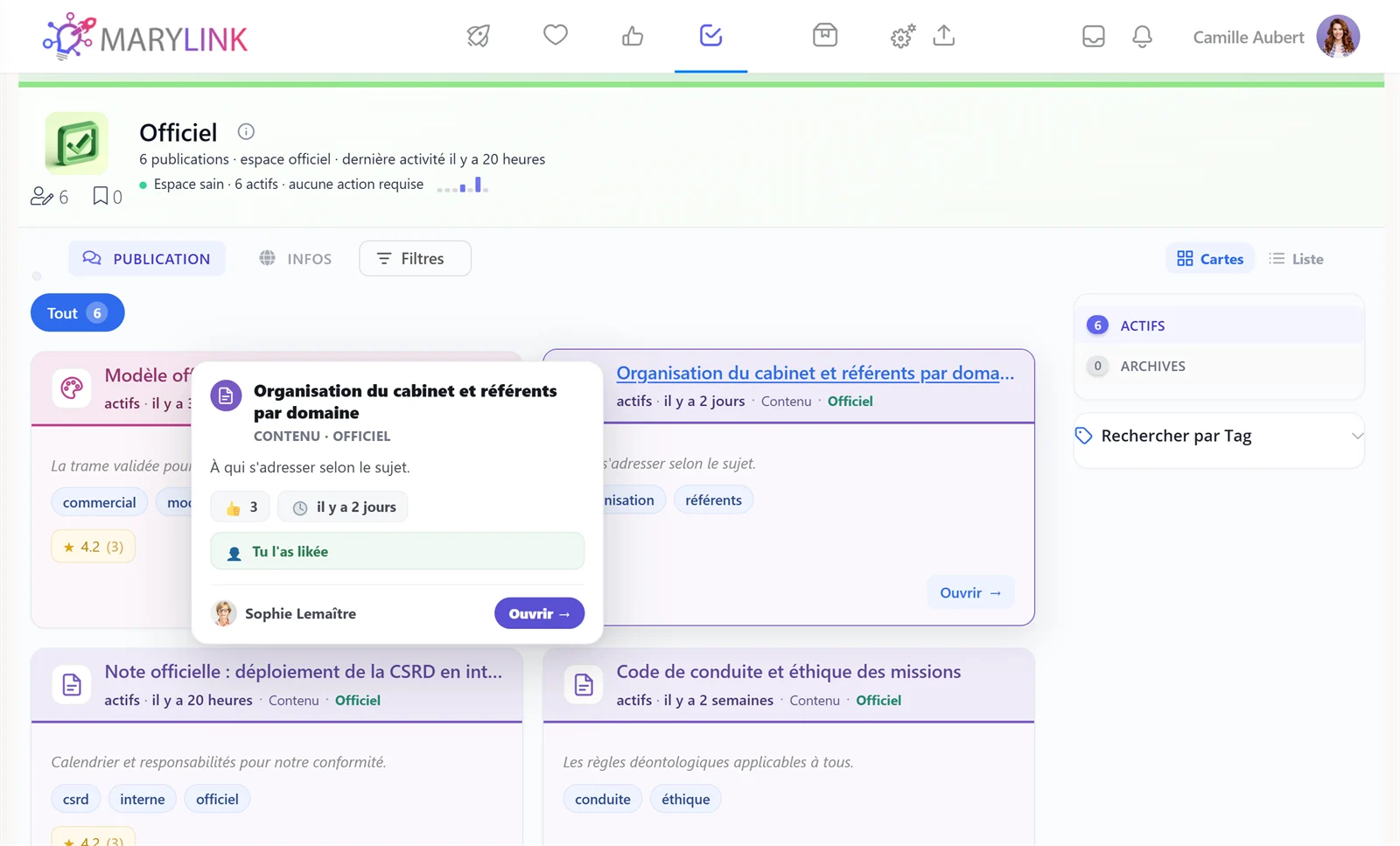 A Marylink space: its structured publications, their tags, the card or list view and the members attached to it